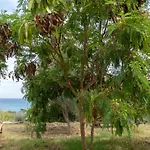 Apartman Kalamies - Secluded Skala (Kefalonia)