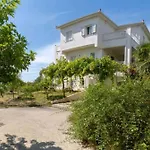 Kalamies - Secluded Apartman Skala (Kefalonia)