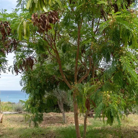 Daire Kalamies - Secluded Skala (Kefalonia)