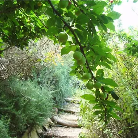 Kalamies - Secluded Apartment *