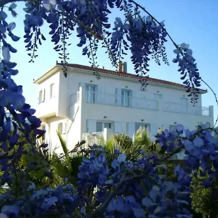 Kalamies - Secluded *