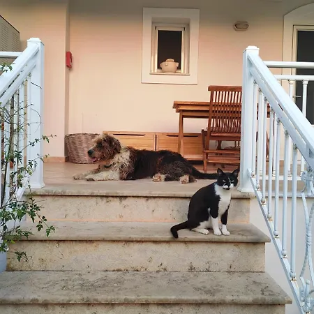 Kalamies - Secluded *