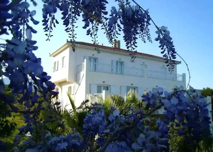 Kalamies - Secluded *