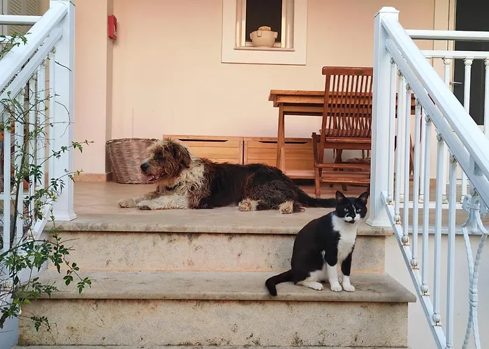 Kalamies - Secluded *